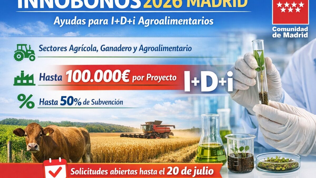 INNOBONOS MADRID 2026