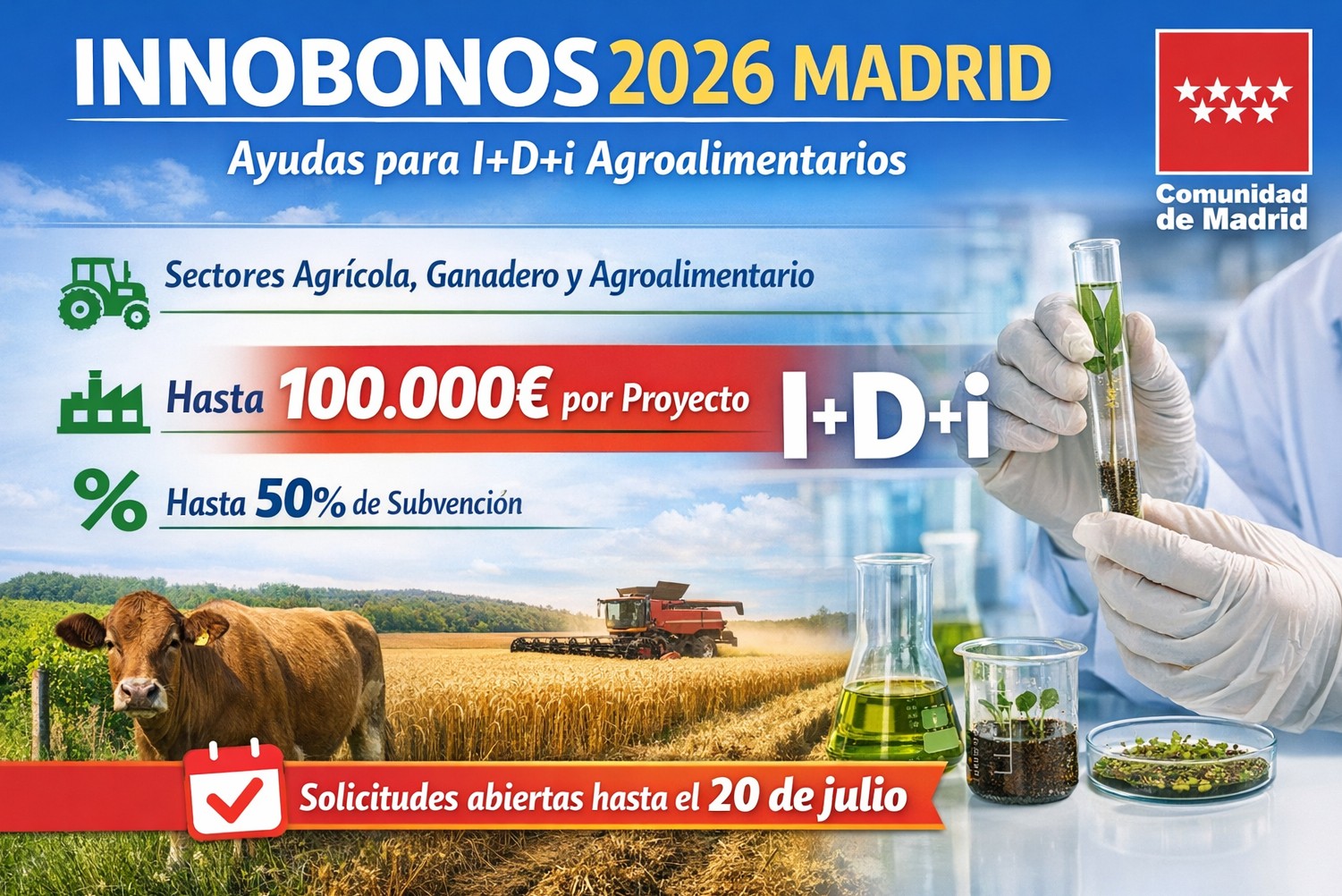 INNOBONOS MADRID 2026